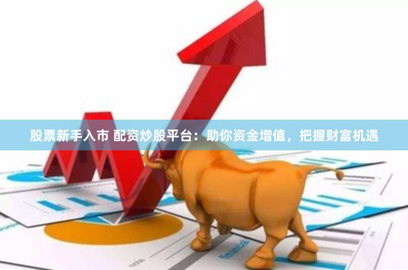 股票新手入市 配资炒股平台：助你资金增值，把握财富机遇
