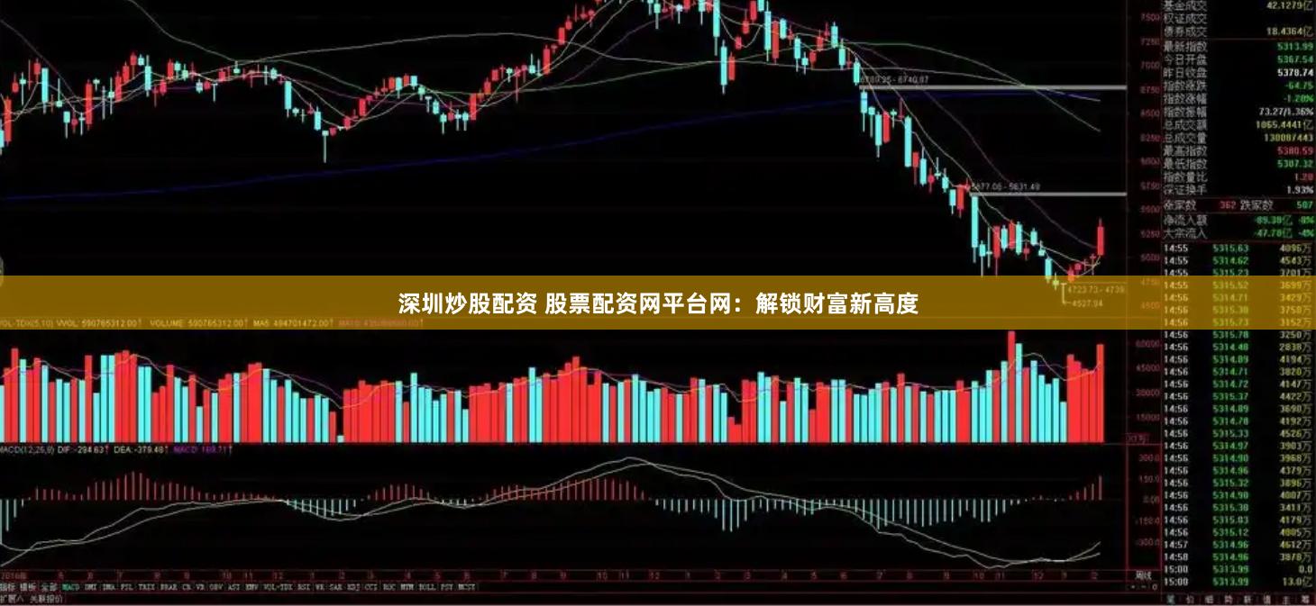 深圳炒股配资 股票配资网平台网：解锁财富新高度